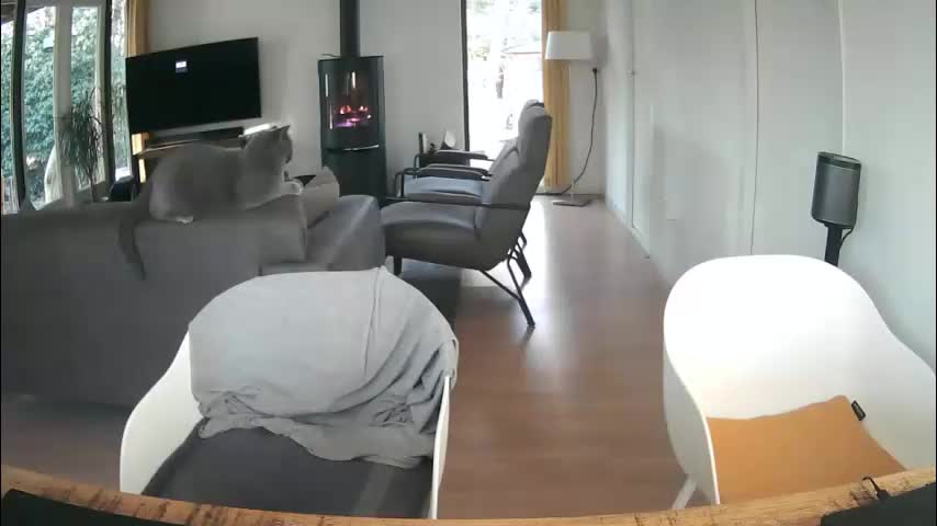 woodwurm Adult Chat December 28, 2025