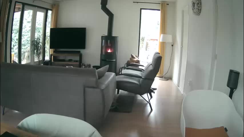 woodwurm Adult Chat December 28, 2025