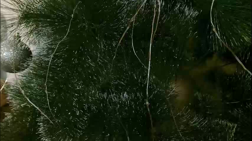 imcarrieberry Adult Chat December 27, 2025