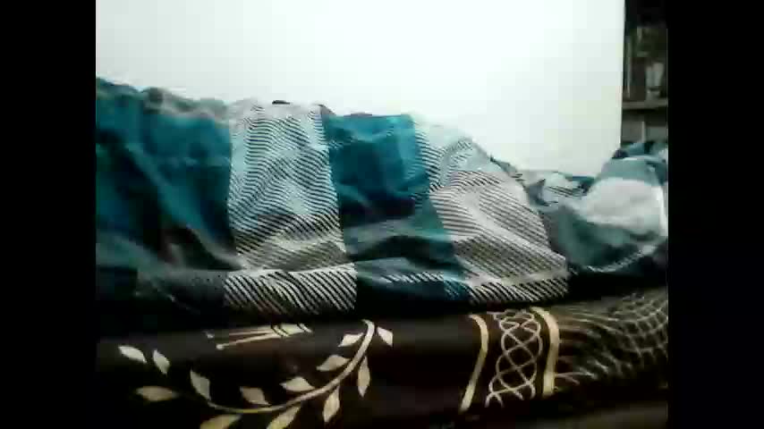 animus987 Adult Chat December 28, 2025