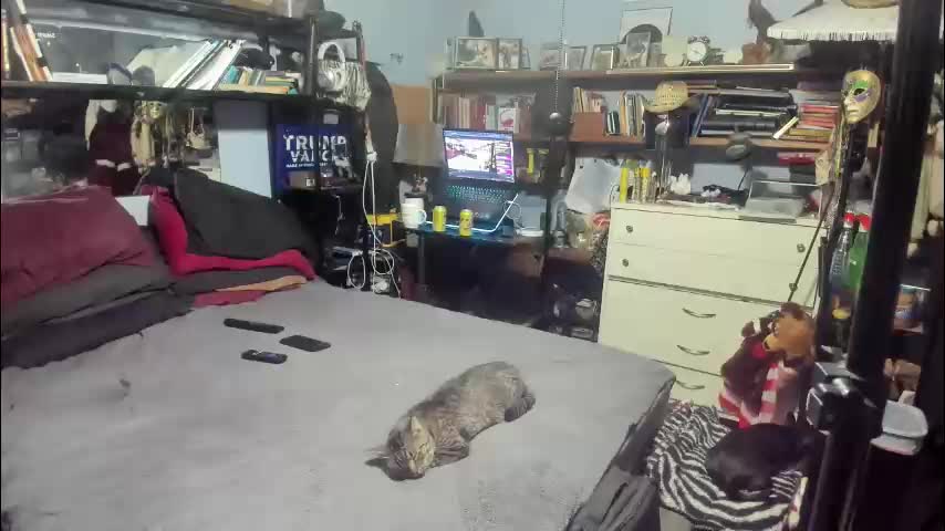 pink_black Adult Chat December 28, 2025