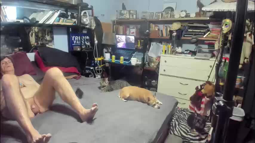 pink_black Adult Chat December 28, 2025