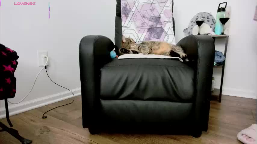 jjjust4fun1985 Adult Chat December 28, 2025