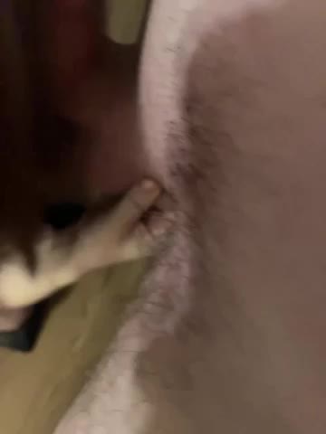 AmazingGirl55 Adult Chat December 28, 2025