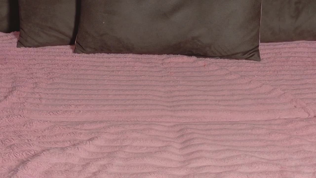 Starstorm Adult Chat December 28, 2025