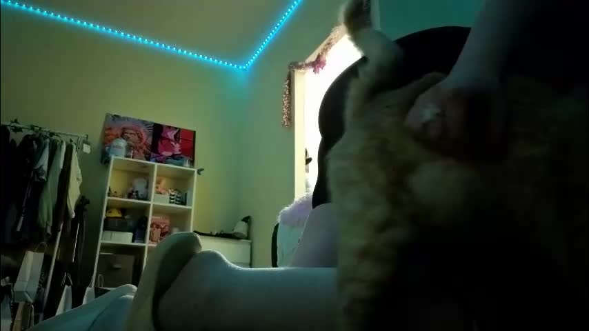 milliedoll Adult Chat December 28, 2025