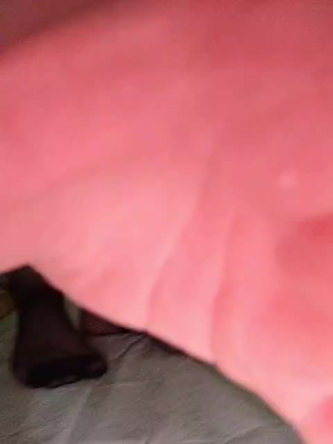 Alisa-33 Adult Chat December 28, 2025