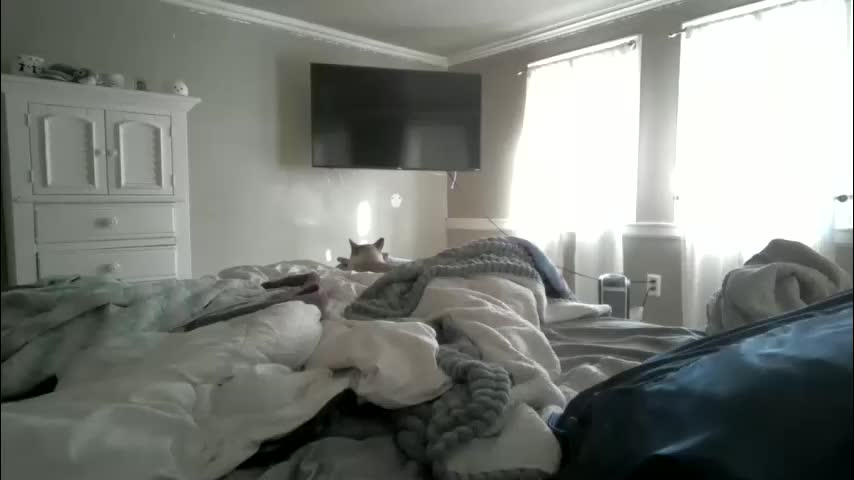 madisonfelicia Adult Chat December 28, 2025