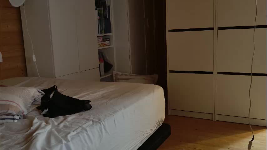 wild41 Adult Chat December 29, 2025