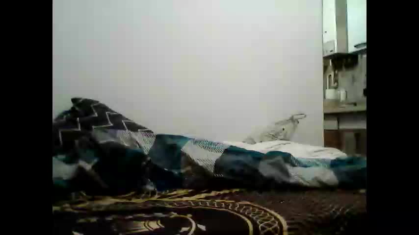 animus987 Adult Chat December 29, 2025