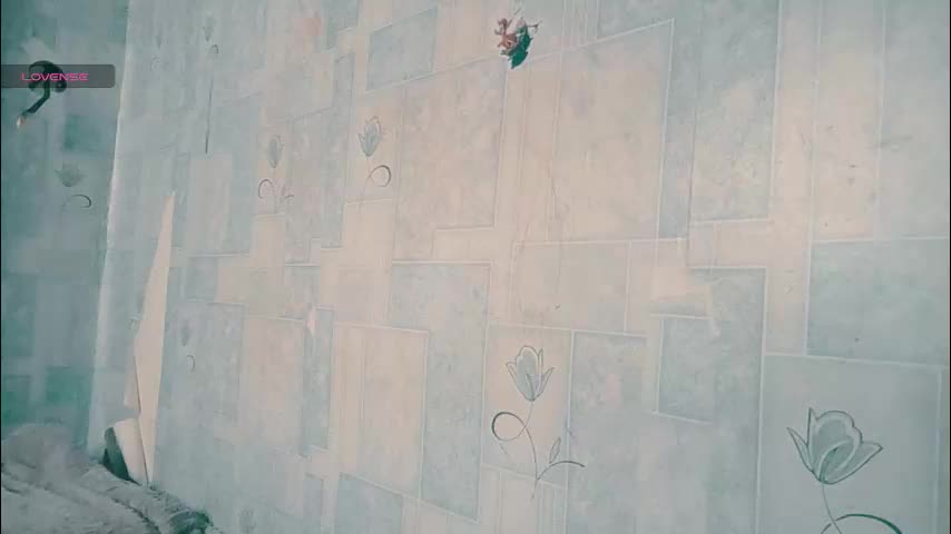 polly_wow Adult Chat December 29, 2025