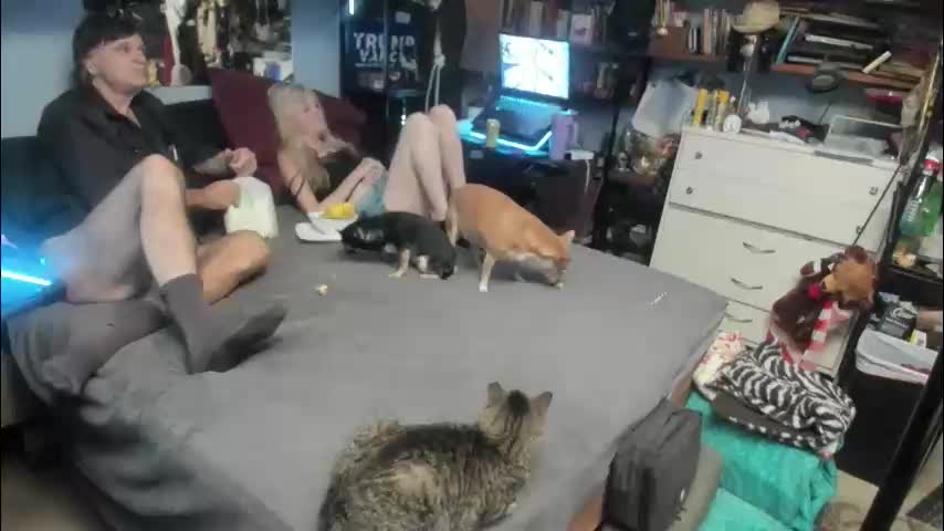 pink_black Adult Chat December 29, 2025