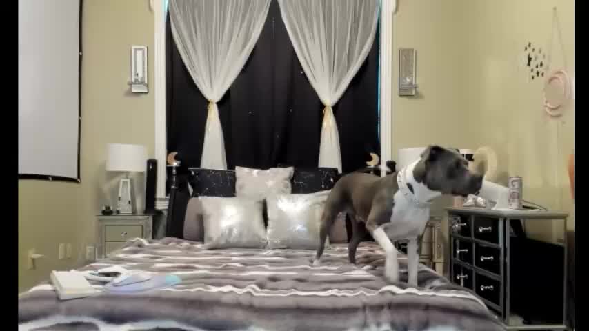 texaspeach69 Adult Chat December 29, 2025