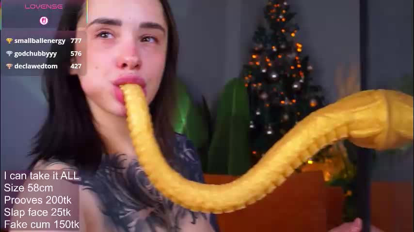 evarabbit Adult Chat December 29, 2025