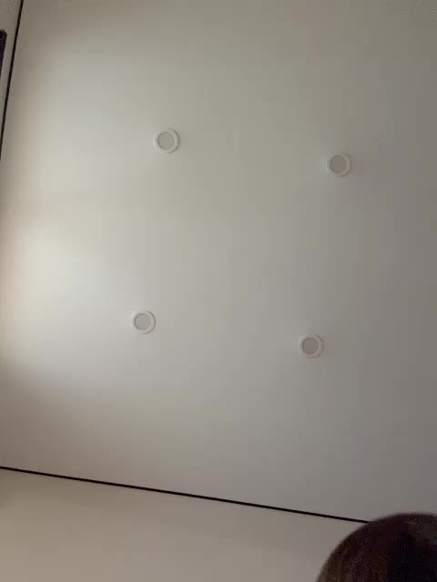 NorbertKlopp Adult Chat December 29, 2025