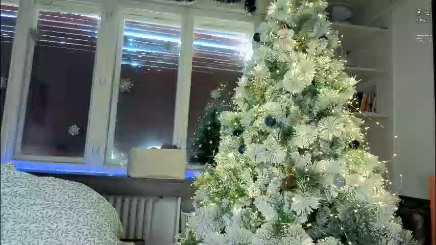 dorfmatratze_ Adult Chat December 29, 2025