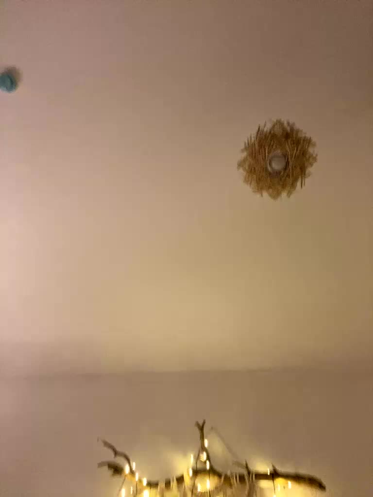 lina_wap Adult Chat December 29, 2025