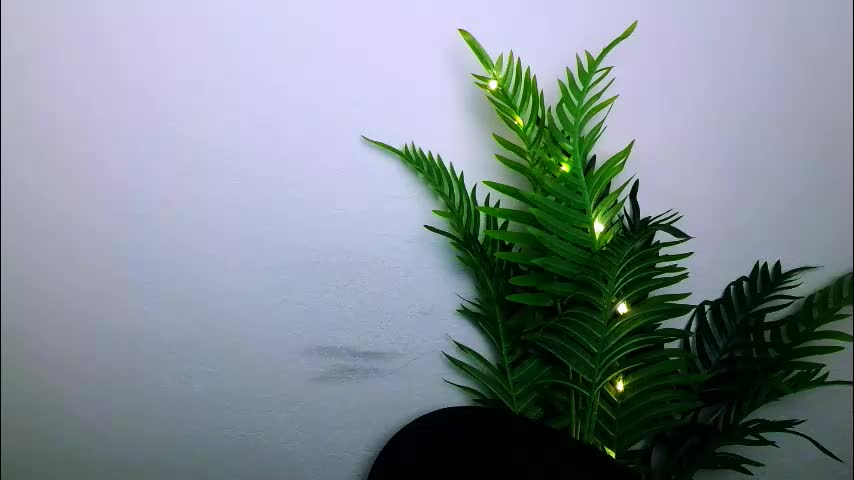 veryveryshygirl Adult Chat December 29, 2025