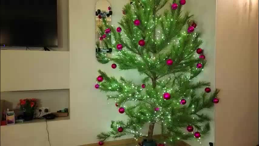 fiamoor Adult Chat December 30, 2025