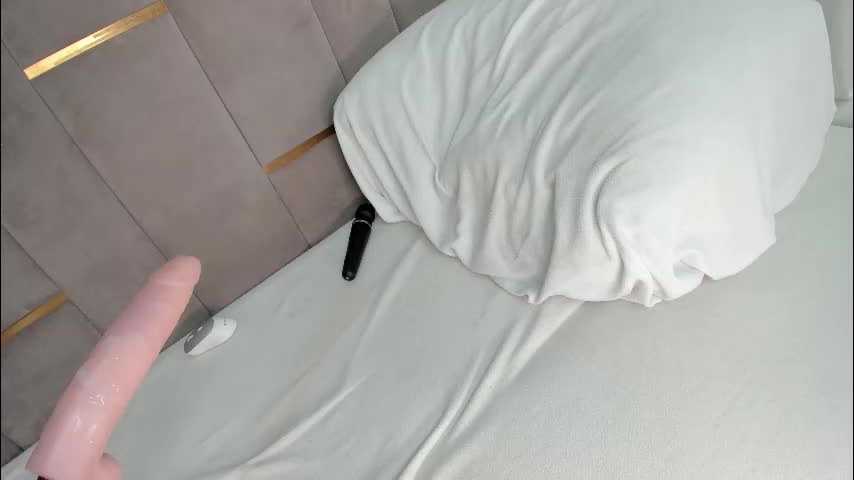 evalims Adult Chat December 29, 2025