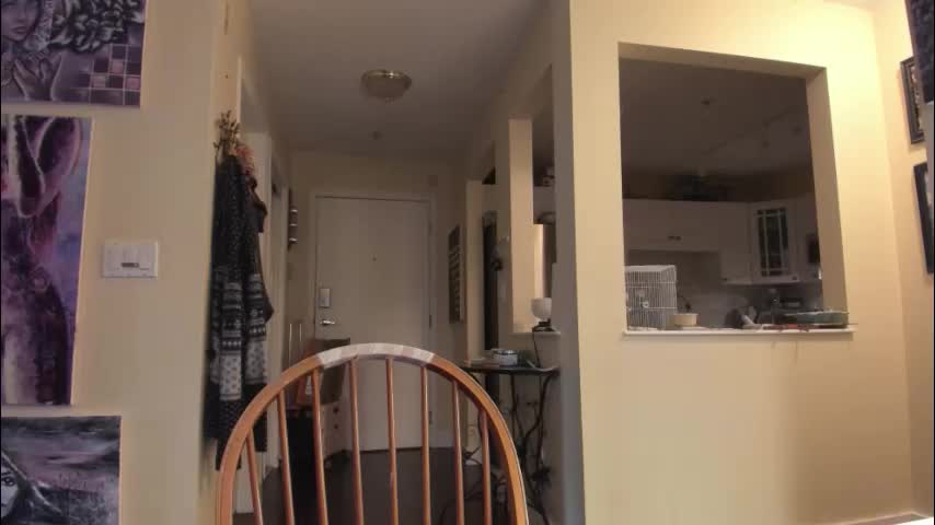 alizezaide Adult Chat December 30, 2025