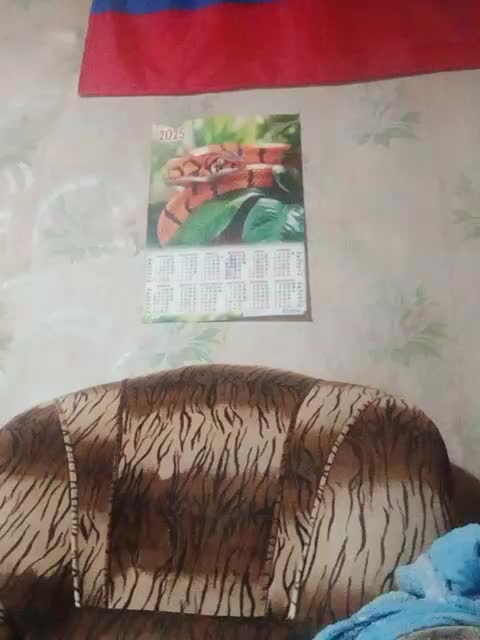 Calibriya Adult Chat December 30, 2025