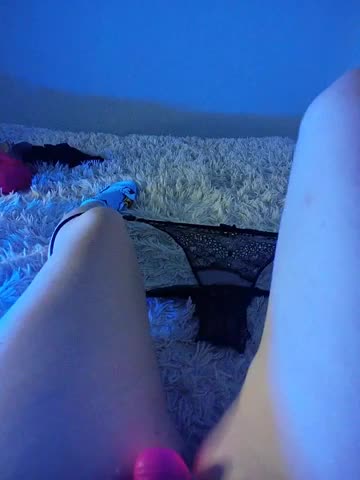 Piff_Pawlady Adult Chat December 30, 2025