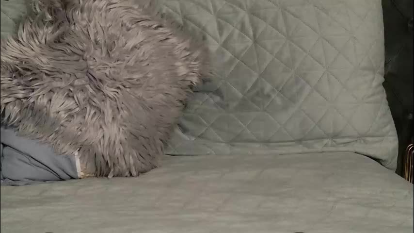 sensualldream Adult Chat December 30, 2025