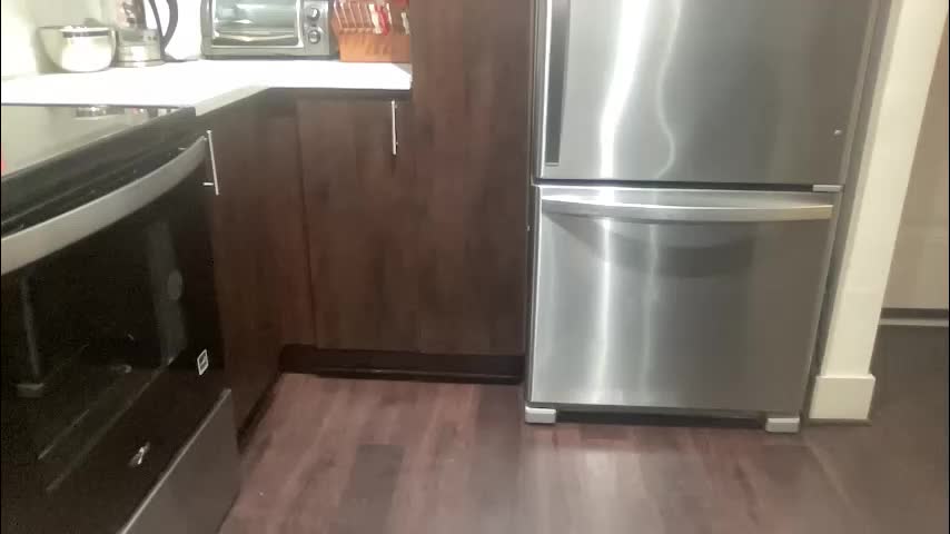 stassiethatsororitygirl Adult Chat December 30, 2025