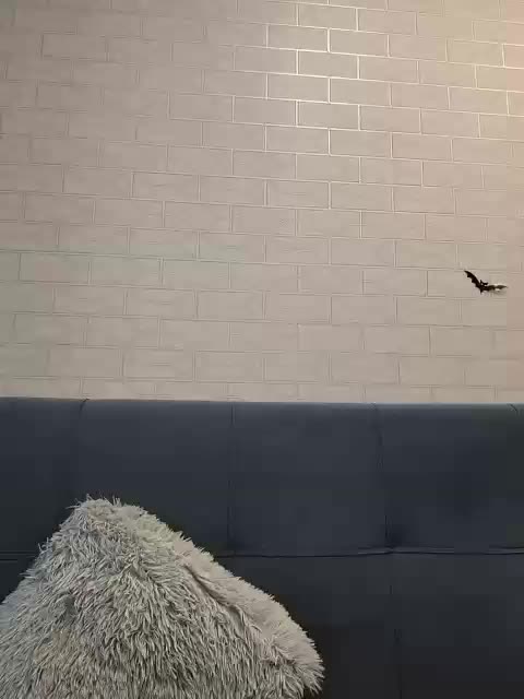 GORIGLAZ Adult Chat December 30, 2025