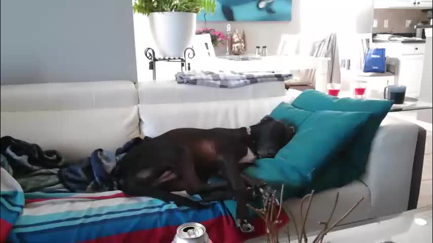 smallpenisbigtongue Adult Chat December 30, 2025