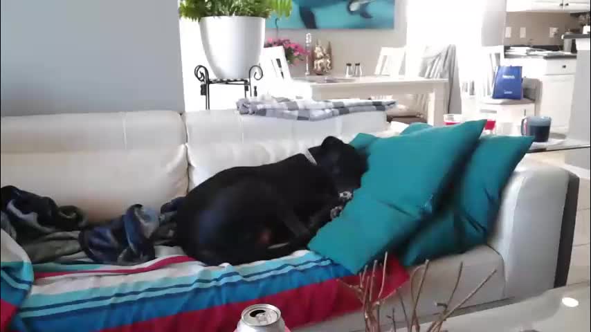 smallpenisbigtongue Adult Chat December 30, 2025