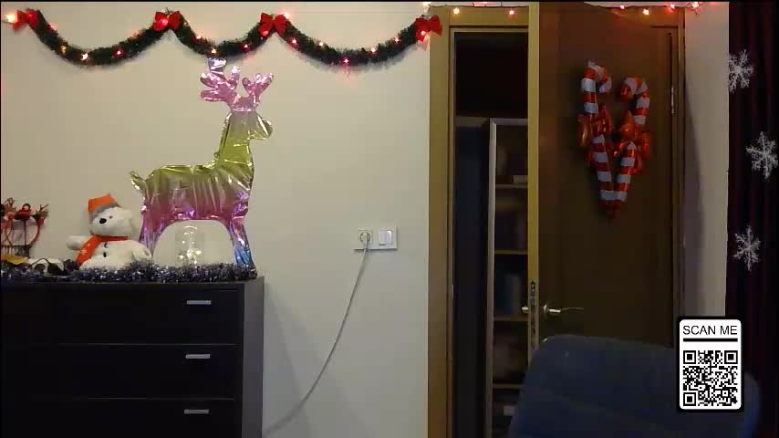 wild_silk_desire Adult Chat December 30, 2025