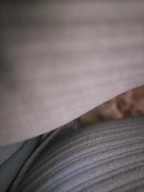 -Tiffany- Adult Chat December 30, 2025