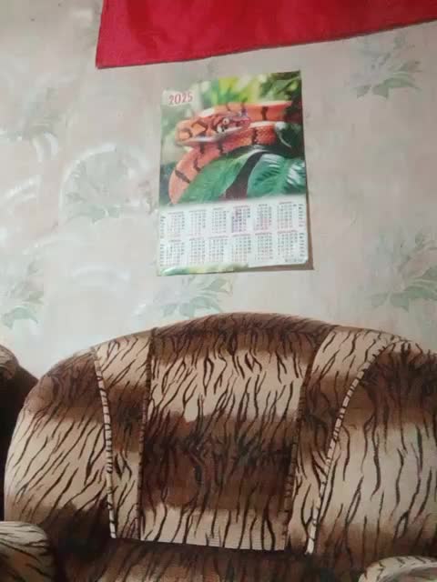 Calibriya Adult Chat December 31, 2025