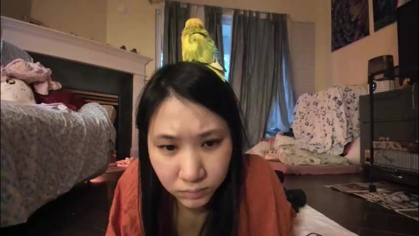 alizezaide Adult Chat December 31, 2025