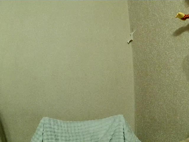 Bella1ove Adult Chat December 31, 2025