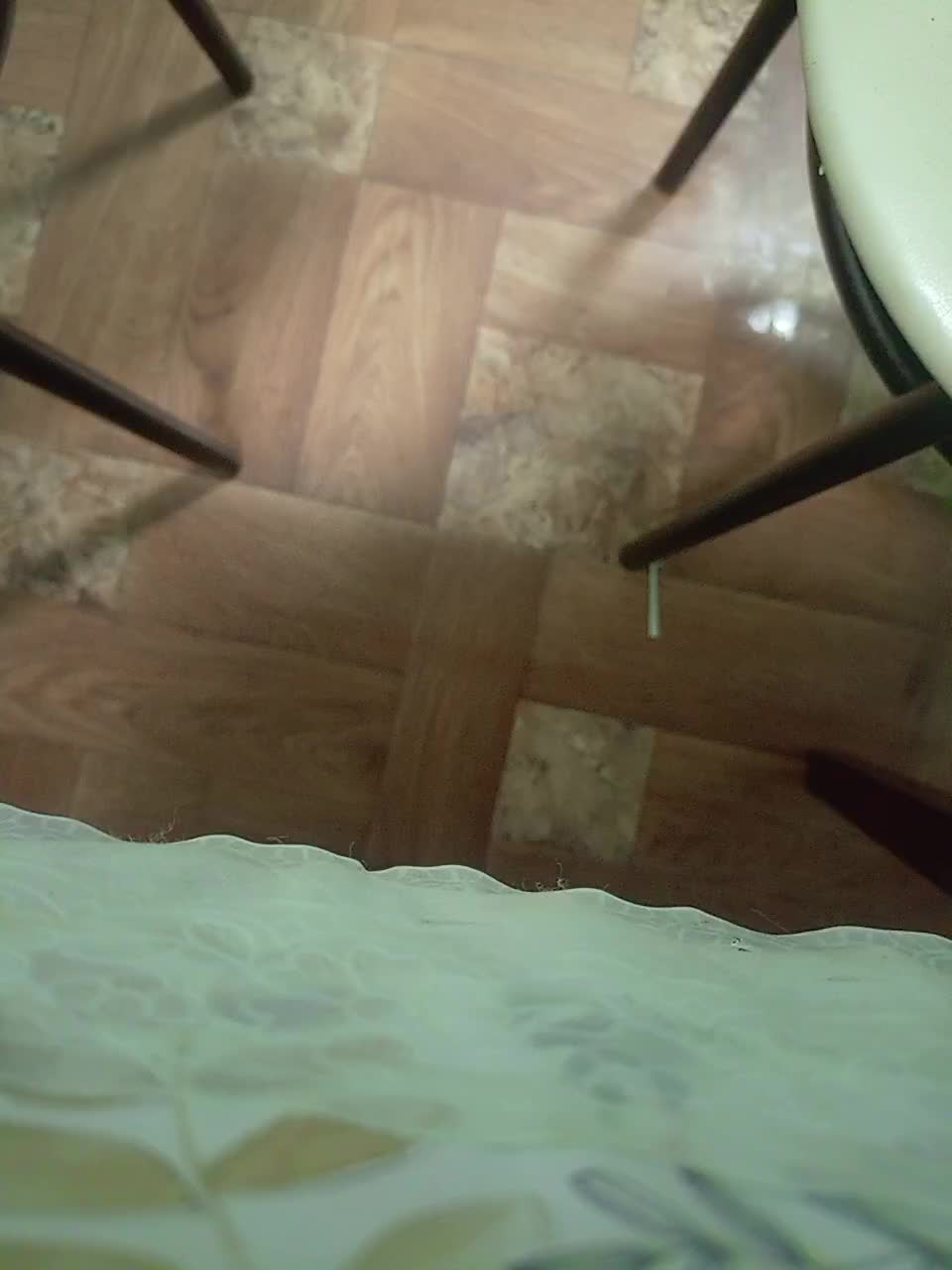 Schastlivchik10 Adult Chat December 31, 2025