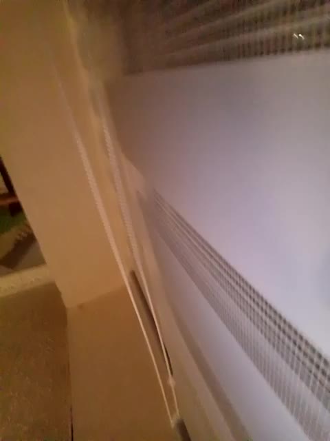 LisaVolk25 Adult Chat December 31, 2025