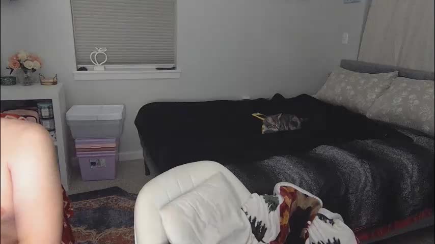 katynowhere Adult Chat December 31, 2025