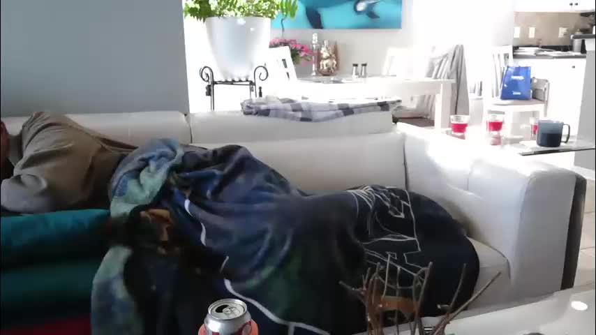 smallpenisbigtongue Adult Chat December 31, 2025