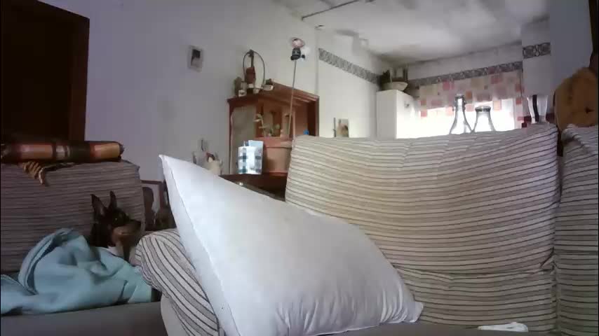 lolahueso Adult Chat December 31, 2025