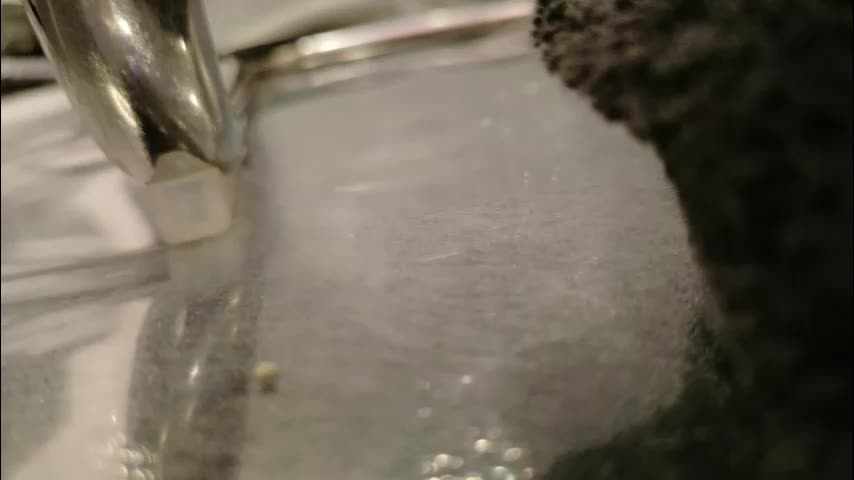 midnightrose11 Adult Chat December 31, 2025