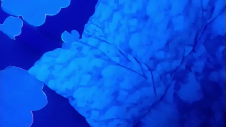 kikilovespartylights Adult Chat December 31, 2025