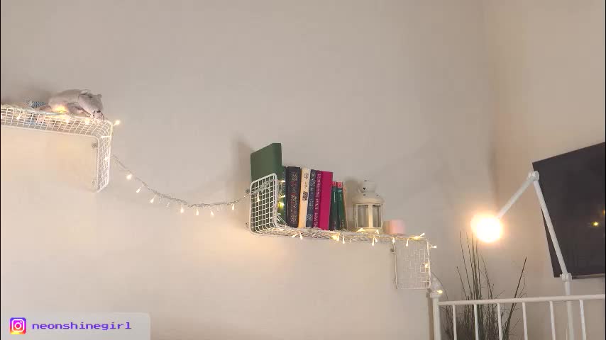 mita_mp4 Adult Chat December 31, 2025