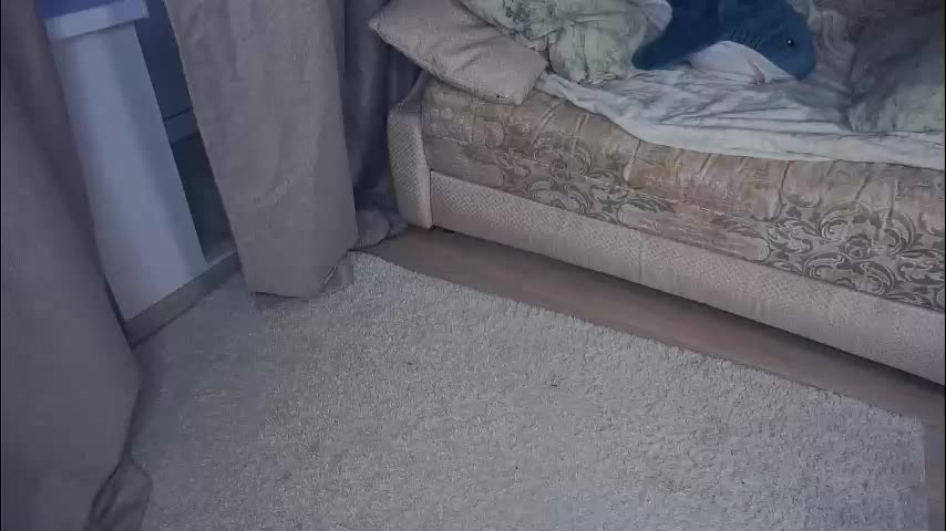 meghanantell Adult Chat December 31, 2025