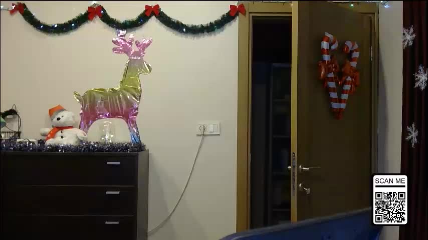 wild_silk_desire Adult Chat January 1, 2026