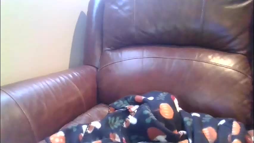 alliebearx Adult Chat January 1, 2026