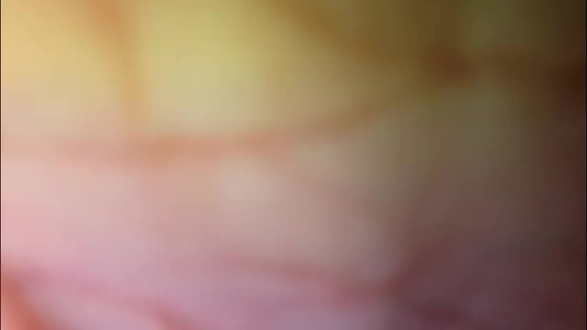 elly_ly Adult Chat January 1, 2026