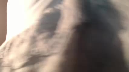 1hardnipples1 Adult Chat January 1, 2026